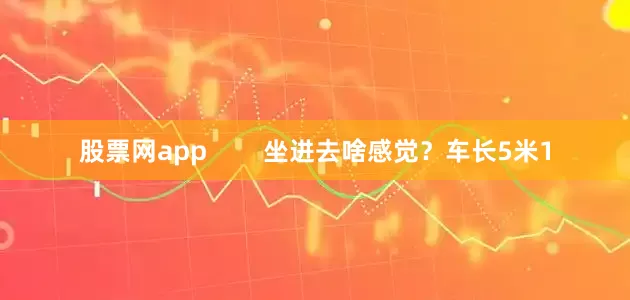 股票网app        坐进去啥感觉？车长5米1